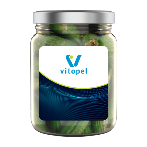 VITOPEL_Mockup_Conservas